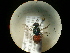  ( - CCDB-09785-E06)  @13 [ ] Copyright  G. Blagoev 2010 Unspecified