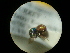  ( - CCDB-09785-E07)  @11 [ ] Copyright  G. Blagoev 2010 Unspecified
