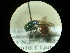  ( - CCDB-09785-E08)  @13 [ ] Copyright  G. Blagoev 2010 Unspecified