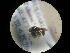 ( - CCDB-09785-E11)  @12 [ ] Copyright  G. Blagoev 2010 Unspecified