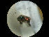  ( - CCDB-09785-F01)  @12 [ ] Copyright  G. Blagoev 2010 Unspecified