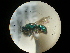  ( - CCDB-09785-F10)  @11 [ ] Copyright  G. Blagoev 2010 Unspecified