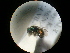  ( - CCDB-09785-G01)  @11 [ ] Copyright  G. Blagoev 2010 Unspecified