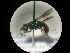  ( - CCDB-09785-G05)  @12 [ ] Copyright  G. Blagoev 2010 Unspecified