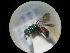  ( - CCDB-09785-G11)  @13 [ ] Copyright  G. Blagoev 2010 Unspecified