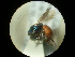  ( - CCDB-09785-H07)  @13 [ ] Copyright  G. Blagoev 2010 Unspecified