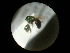  ( - CCDB-09786-B08)  @11 [ ] Copyright  G. Blagoev 2010 Unspecified
