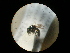  ( - CCDB-09786-D01)  @11 [ ] Copyright  G. Blagoev 2010 Unspecified