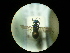  ( - CCDB-09786-D02)  @11 [ ] Copyright  G. Blagoev 2010 Unspecified