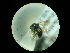  ( - CCDB-09786-D03)  @11 [ ] Copyright  G. Blagoev 2010 Unspecified
