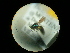  ( - CCDB-09786-D04)  @11 [ ] Copyright  G. Blagoev 2010 Unspecified