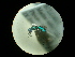  ( - CCDB-09786-E06)  @11 [ ] Copyright  G. Blagoev 2010 Unspecified