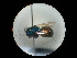  ( - CCDB-09786-F01)  @11 [ ] Copyright  G. Blagoev 2010 Unspecified