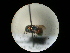  ( - CCDB-09786-F04)  @13 [ ] Copyright  G. Blagoev 2010 Unspecified