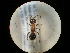  ( - CCDB-09787-B10)  @12 [ ] Copyright  G. Blagoev 2010 Unspecified