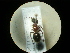  ( - CCDB-09787-C01)  @13 [ ] Copyright  G. Blagoev 2010 Unspecified
