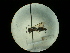  ( - CCDB-09787-E04)  @11 [ ] Copyright  G. Blagoev 2010 Unspecified