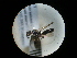  ( - CCDB-09787-E07)  @11 [ ] Copyright  G. Blagoev 2010 Unspecified