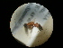  ( - CCDB-09787-E11)  @11 [ ] Copyright  G. Blagoev 2010 Unspecified