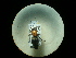  ( - CCDB-09787-F07)  @11 [ ] Copyright  G. Blagoev 2010 Unspecified