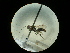  ( - CCDB-09787-F10)  @11 [ ] Copyright  G. Blagoev 2010 Unspecified