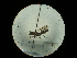  (Krombeinella - CCDB-09787-F12)  @13 [ ] Copyright  G. Blagoev 2010 Unspecified
