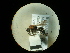  ( - CCDB-09787-G12)  @11 [ ] Copyright  G. Blagoev 2010 Unspecified
