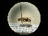  ( - CCDB-09787-H03)  @11 [ ] Copyright  G. Blagoev 2010 Unspecified