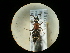  ( - CCDB-09787-H04)  @11 [ ] Copyright  G. Blagoev 2010 Unspecified