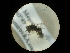  ( - CCDB-09788-A08)  @12 [ ] Copyright  G. Blagoev 2010 Unspecified