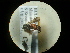  ( - CCDB-09788-C02)  @12 [ ] Copyright  G. Blagoev 2010 Unspecified
