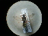  ( - CCDB-09788-E02)  @11 [ ] Copyright  G. Blagoev 2010 Unspecified