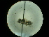  ( - CCDB-09788-E07)  @11 [ ] Copyright  G. Blagoev 2010 Unspecified