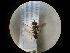  ( - CCDB-09788-F05)  @11 [ ] Copyright  G. Blagoev 2010 Unspecified