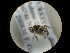  ( - CCDB-09788-F07)  @11 [ ] Copyright  G. Blagoev 2010 Unspecified