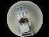  ( - CCDB-09788-G03)  @11 [ ] Copyright  G. Blagoev 2010 Unspecified