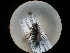  ( - CCDB-09788-H01)  @12 [ ] Copyright  G. Blagoev 2010 Unspecified