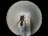  ( - CCDB-09788-H03)  @11 [ ] Copyright  G. Blagoev 2010 Unspecified