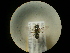  ( - CCDB-09788-H05)  @11 [ ] Copyright  G. Blagoev 2010 Unspecified