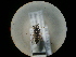  ( - CCDB-09788-H06)  @12 [ ] Copyright  G. Blagoev 2010 Unspecified