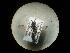  ( - CCDB-09789-B07)  @12 [ ] Copyright  G. Blagoev 2010 Unspecified