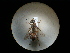  ( - CCDB-09789-C05)  @11 [ ] Copyright  G. Blagoev 2010 Unspecified