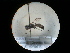  ( - CCDB-09789-E06)  @11 [ ] Copyright  G. Blagoev 2010 Unspecified