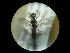  ( - CCDB-09789-E12)  @12 [ ] Copyright  G. Blagoev 2010 Unspecified