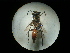 ( - CCDB-09789-F01)  @11 [ ] Copyright  G. Blagoev 2010 Unspecified