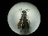  ( - CCDB-09789-F02)  @11 [ ] Copyright  G. Blagoev 2010 Unspecified