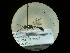  (Psenulus latiannulatus latiannulatus - CCDB-09789-H02)  @11 [ ] Copyright  G. Blagoev 2010 Unspecified