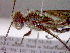  ( - CCDB-12229-A06)  @12 [ ] Copyright  G. Blagoev 2010 Unspecified