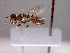  ( - CCDB-12229-A08)  @12 [ ] Copyright  G. Blagoev 2010 Unspecified
