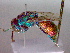  ( - CCDB-12229-B03)  @13 [ ] Copyright  G. Blagoev 2010 Unspecified